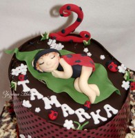 /album/cokoladove-torty/dsc06512pic-lienka-detail-800-jpg/